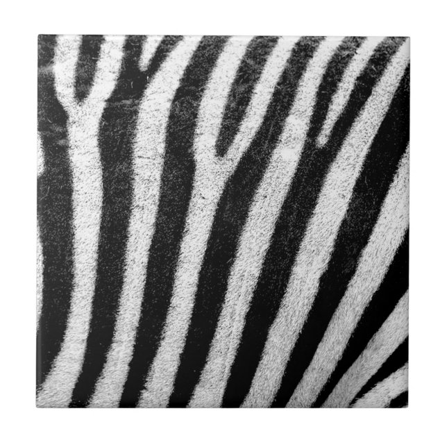 Zebrastreifen Fliese (Vorderseite)
