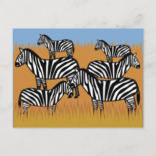 Zebrastreifen-Herde Postkarte