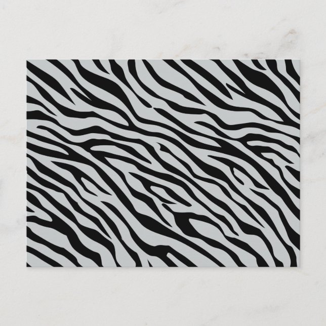Zebrastreifen Klicken Sie, um die Farbe Grau anzup Postkarte (Vorderseite)