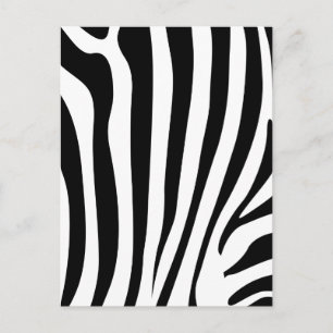 Zebrastreifen Postkarte