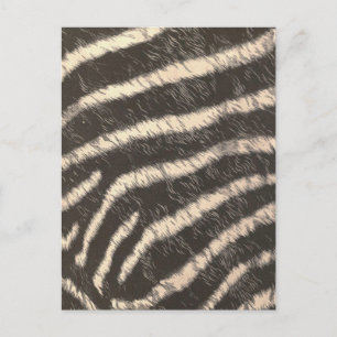 Zebrastreifen Postkarte