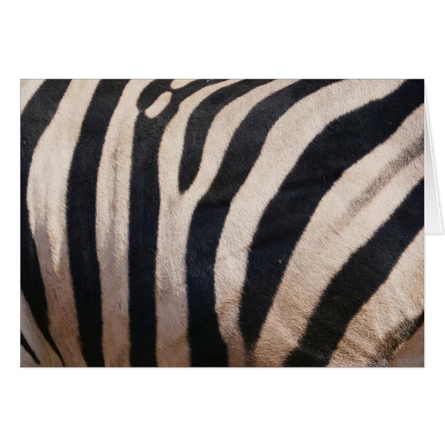 Zebrastreifen Schwarz und Weiß (Vorderseite (Horizontal))