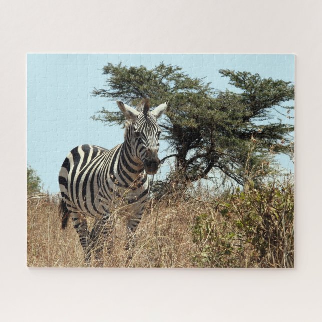 Zebrawild Puzzle (Horizontal)