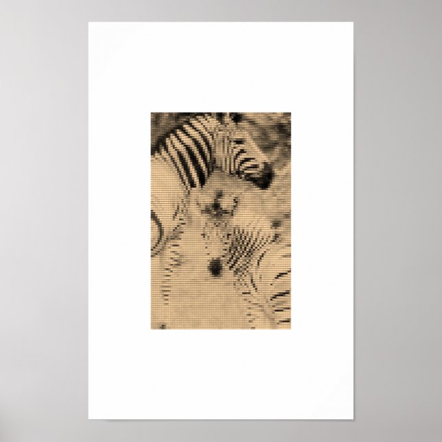 Zebrix Poster (Vorne)