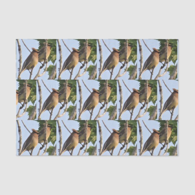 Zedar Waxwing - Backyard Bird Tissue Paper Seidenpapier (Vorderseite)