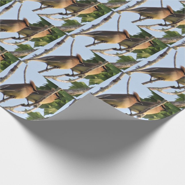 Zedar Waxwing - Backyard Bird - Wrapping Paper Rol Geschenkpapier (Ecke)