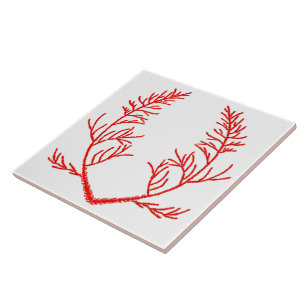 Zeder-Blätter auf einer weißen Keramik Fliese