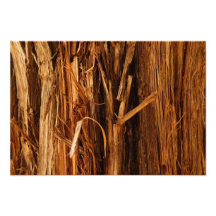 Zeder Textur Holzrinden-Look Fotodruck