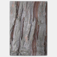 Zedern-Baumrindebeschaffenheit