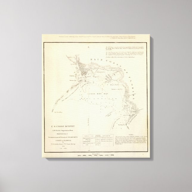 Zedernschlüssel, Fla Leinwanddruck (Vorderseite)