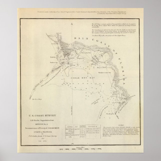 Zedernschlüssel, Fla Poster (Vorne)