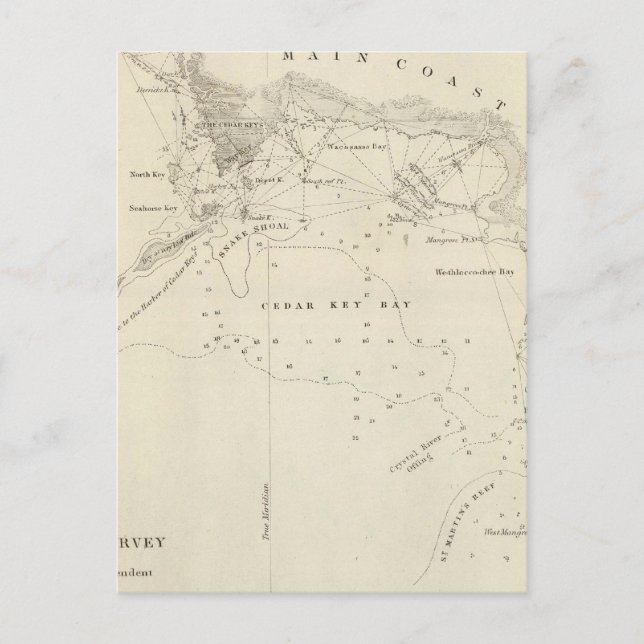 Zedernschlüssel, Fla Postkarte (Vorderseite)