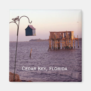 Zedernschlüssel, Zedernschlüssel, Florida Magnet