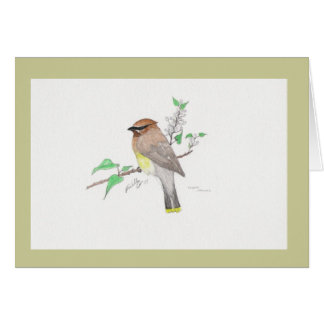 ZederWaxwing