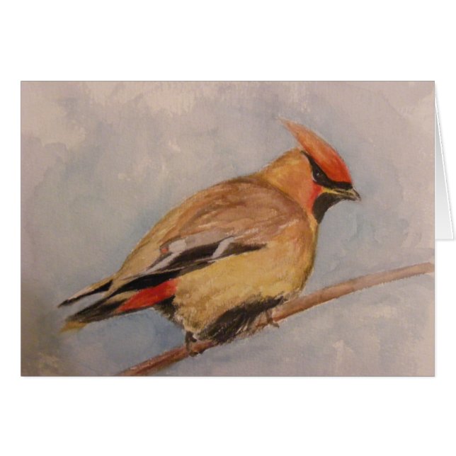 ZederWaxwing (Vorderseite (Horizontal))