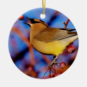 ZederWaxwing Keramikornament