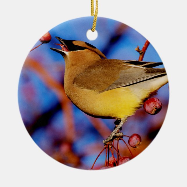 ZederWaxwing Keramikornament (Vorne)