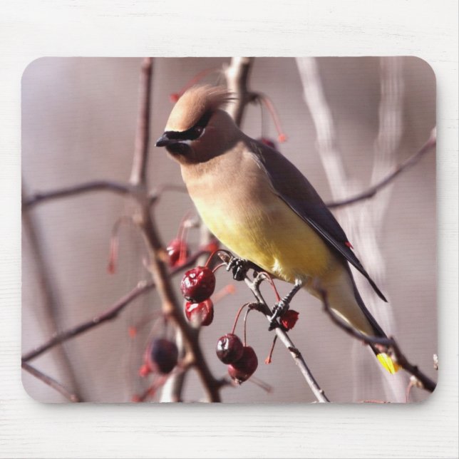 Zederwaxwing-Mausunterlage Mousepad (Vorne)