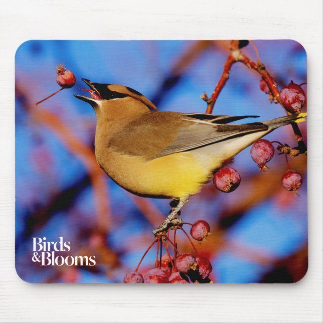 ZederWaxwing Mousepad (Vorne)