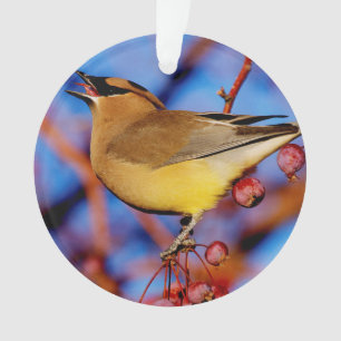 ZederWaxwing Ornament