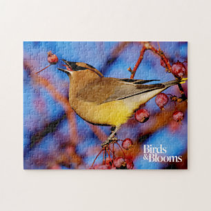 ZederWaxwing Puzzle