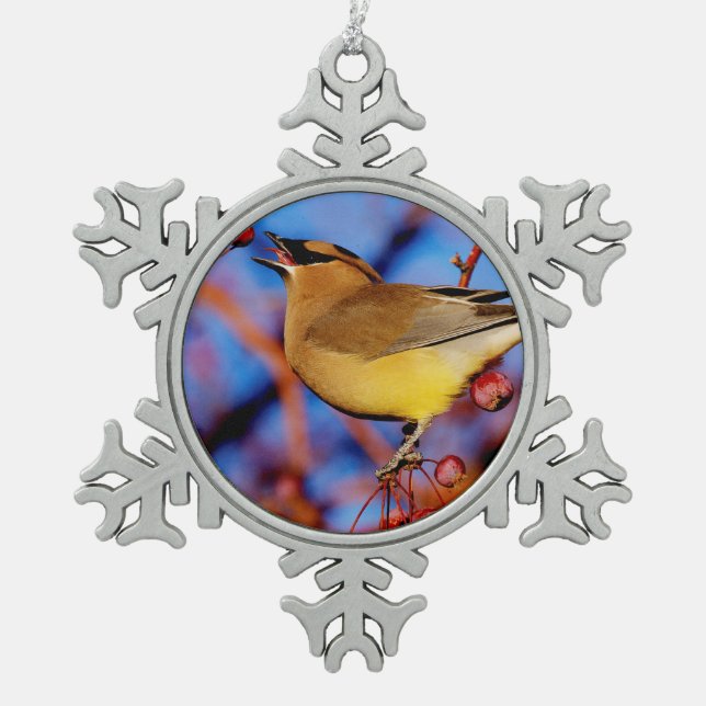 ZederWaxwing Schneeflocken Zinn-Ornament (Vorderseite)