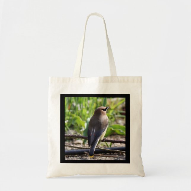 Zederwaxwing-Taschen-Tasche Tragetasche (Vorne)