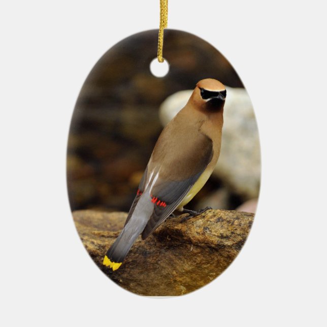 Zederwaxwing-Verzierung Keramik Ornament (Vorne)