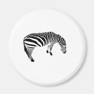 Zeebra Magnet