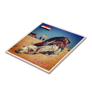 zEG021 EGYPT, Camel, Afrika, Fliese