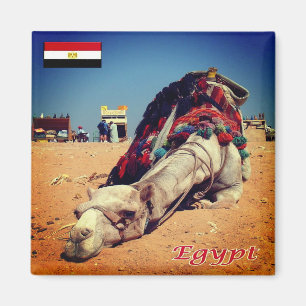 zEG021 EGYPT, Kamel, Afrika, Kühlschrank Magnet