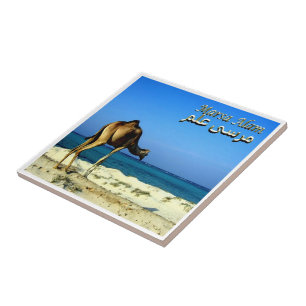 zEG047 MARSA ALAM, Rotes Meer, Ägypten Fliese