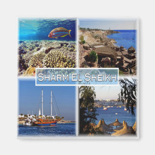 zEG063 SHARM EL SHEIK in Rotes Meer, ÄGYPTEN, Kühl Magnet