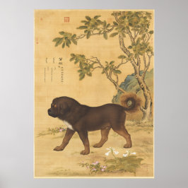 Zehn feine Hunde - Cangni (ein tibetischer Hund) Poster