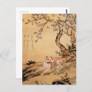Zehn preisgekrönte Hunde - Shanxing Wolf (Chinesis Postkarte