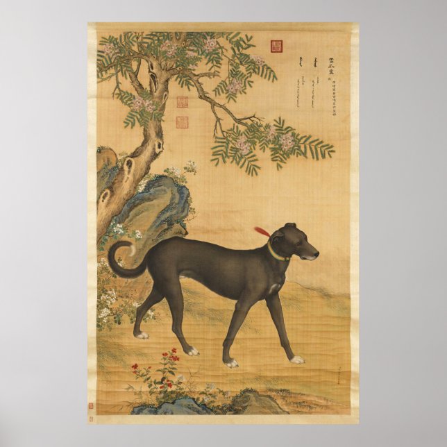 Zehn preisgekrönte Hunde - Xuezhualu (chinesischer Poster (Vorne)