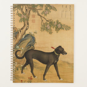 Zehn Preishunde - Xuezhualu (chinesischer Windhund Planer