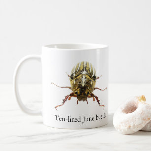 Zehnstreifen-Juni-Käfer-Tasse Kaffeetasse