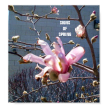 ZEICHEN DES FRÜHSTÜCKposters