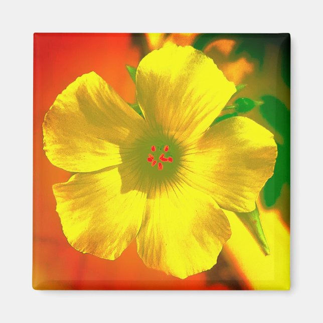 ZEICHENSTIL UND DESIGN-DEKORATION DER BLUME MAGNET (Vorne)