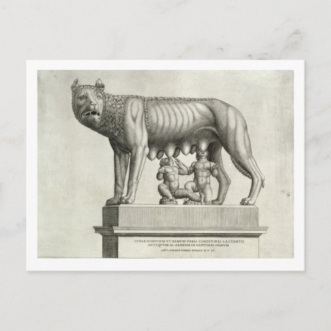 Zeichn der etruskischen Bronze des Wolfshügels Postkarte (Vorderseite)