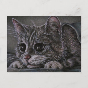 Zeichn von Kitten auf Postkarte
