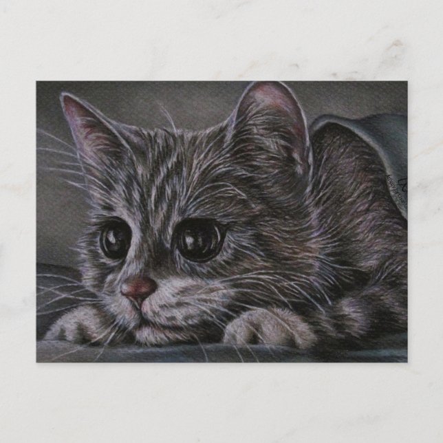 Zeichn von Kitten auf Postkarte (Vorderseite)