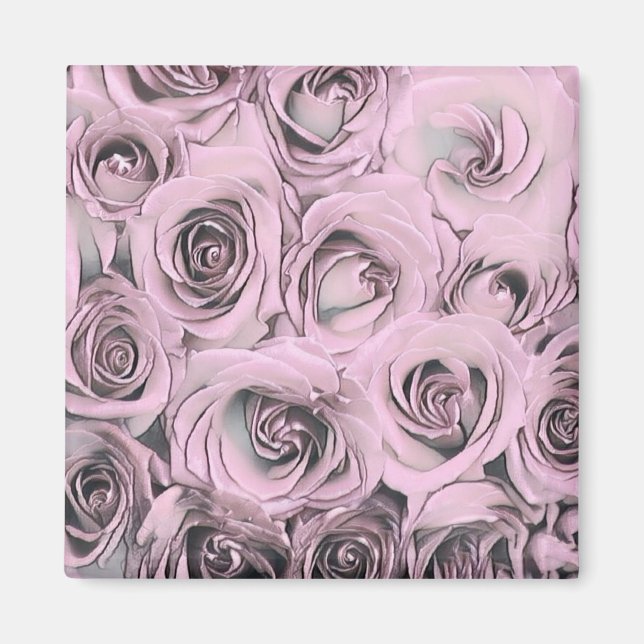 Zeichn von rosa Rosen Magnet (Vorne)