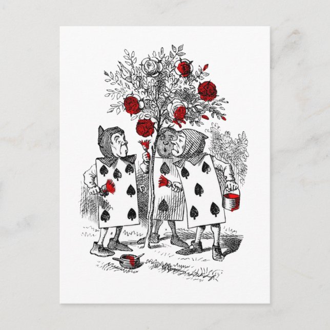 Zeichnen der Rose rot Postkarte (Vorderseite)