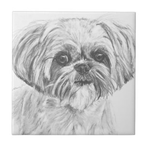Zeichnen Shih-Tzu Fliese