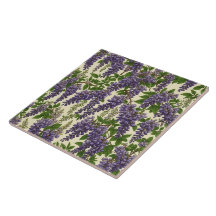 Zeichnend amerikanisches Wisteria