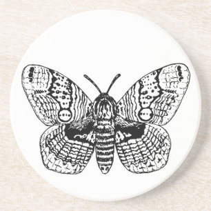 Zeichnend Brahmanmotte Getränkeuntersetzer