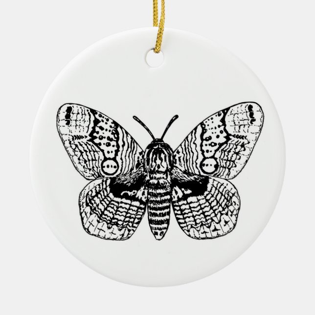 Zeichnend Brahmanmotte Keramik Ornament (Vorne)