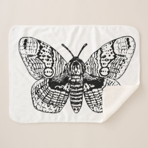 Zeichnend Brahmanmotte Sherpadecke